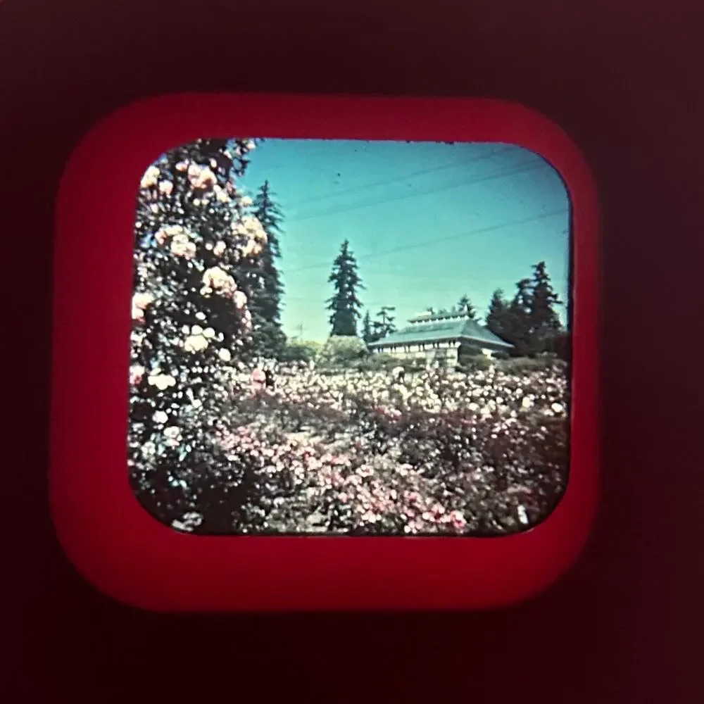 Vintage View-Master Reels – Bryce Canyon & Vancouver – Sawyer’s Inc. 1950s/60s